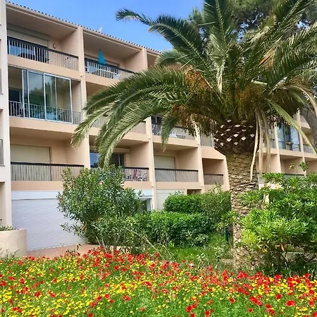 Ou La & La A Vos Pieds * Calvi (Corsica)